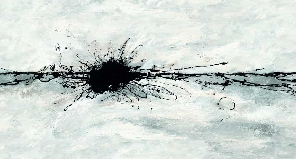 Black Ink Burst by Renate Holzner — canvas wall art