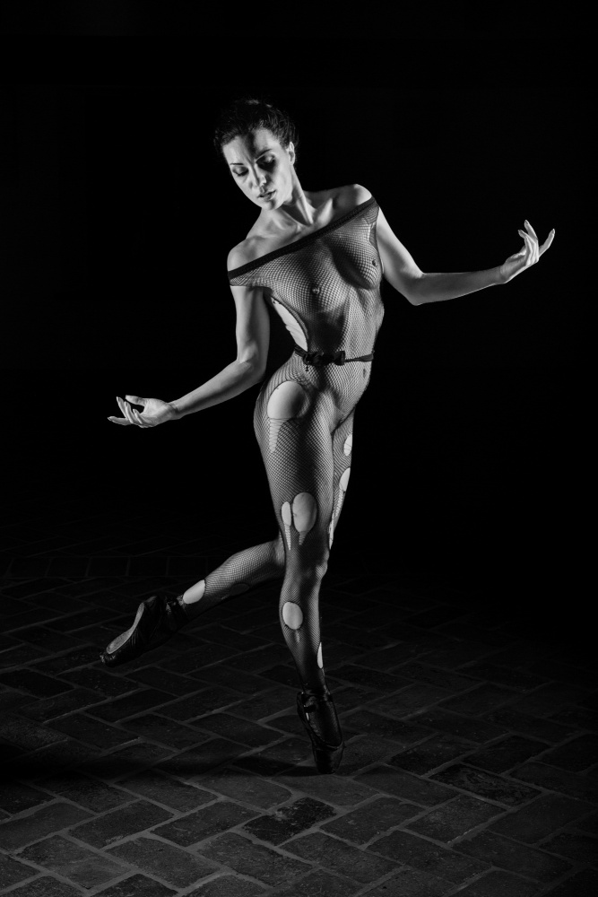 Dramatic Fishnet Ballet by Fabrizio Micheli — canvas wall art