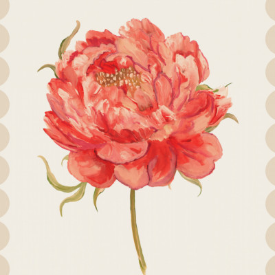 Vibrant Coral Peony