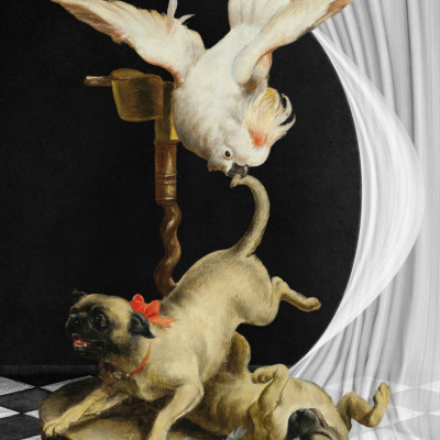 LivelyScene Of A Bird