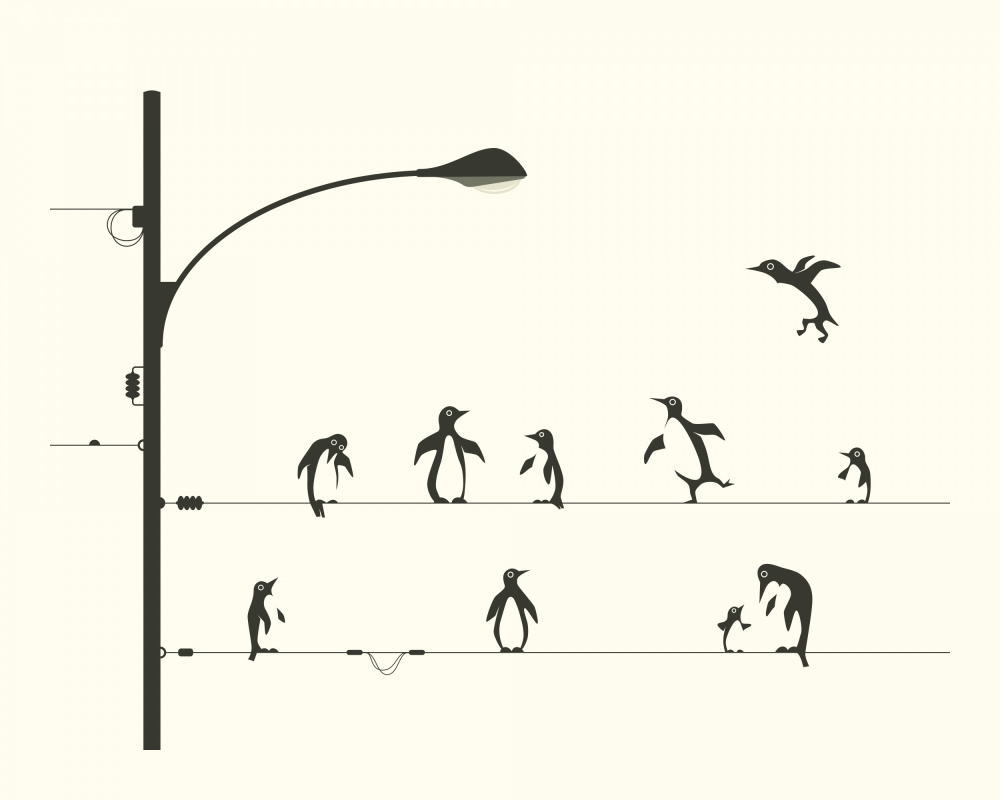 Flying Penguin Dance by Jazzberry Blue — canvas wall art