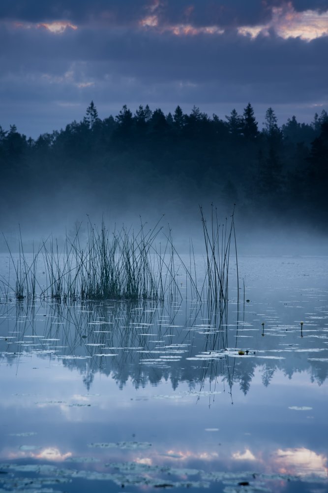 Misty Lake Reflection by Benny Pettersson — canvas wall art