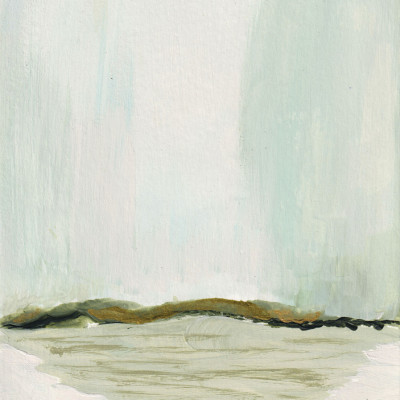 Soft Horizon Landscape