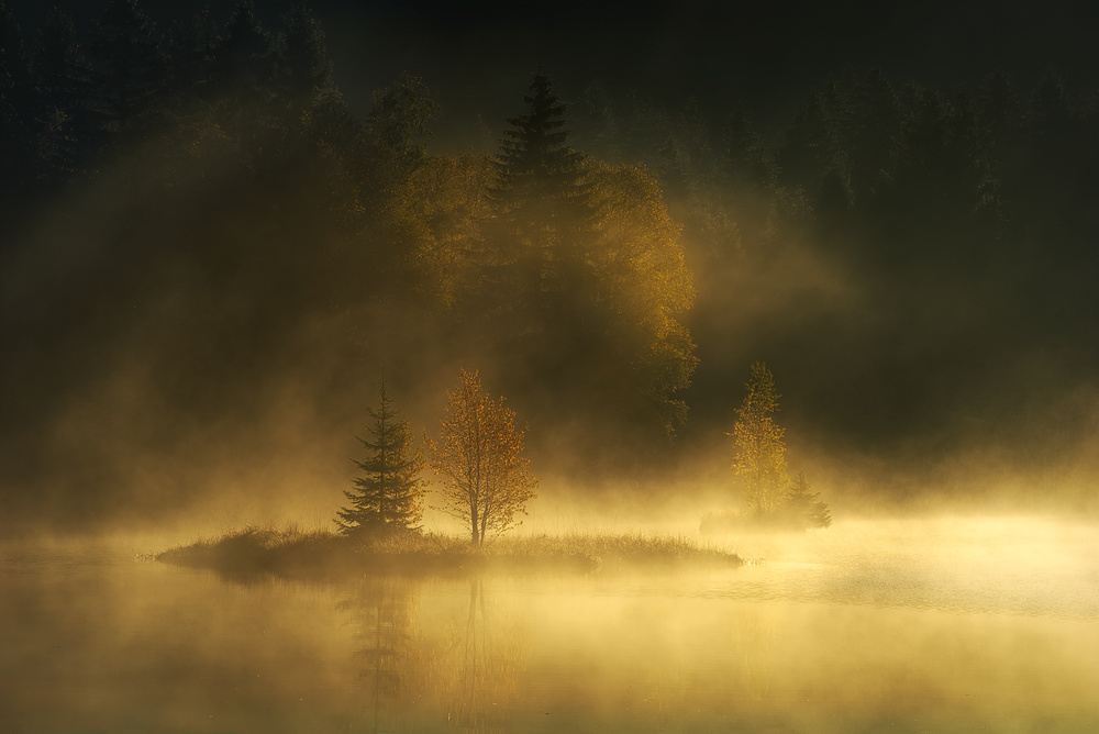 Golden Fog Lake by Ellen Borggreve — canvas wall art