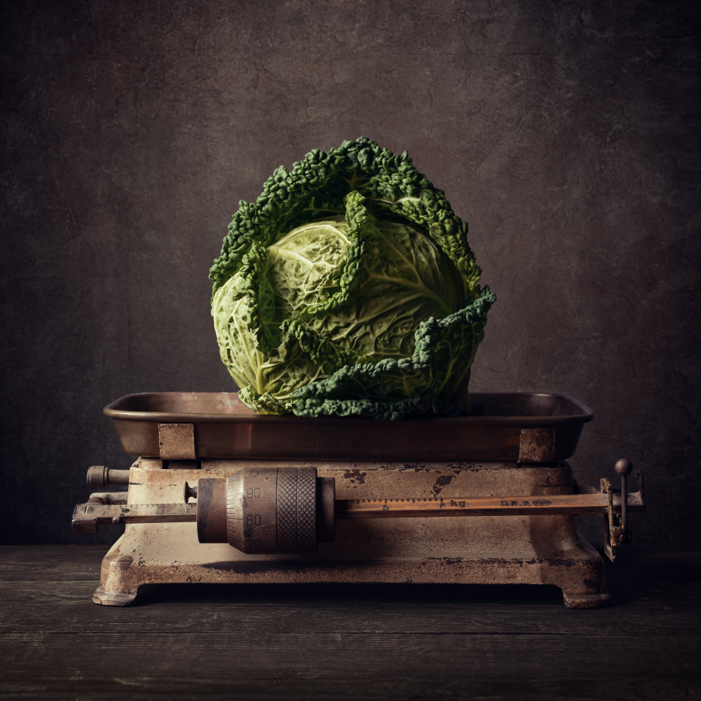 Rustic Cabbage Still Life by Michael Schnabl — canvas wall art