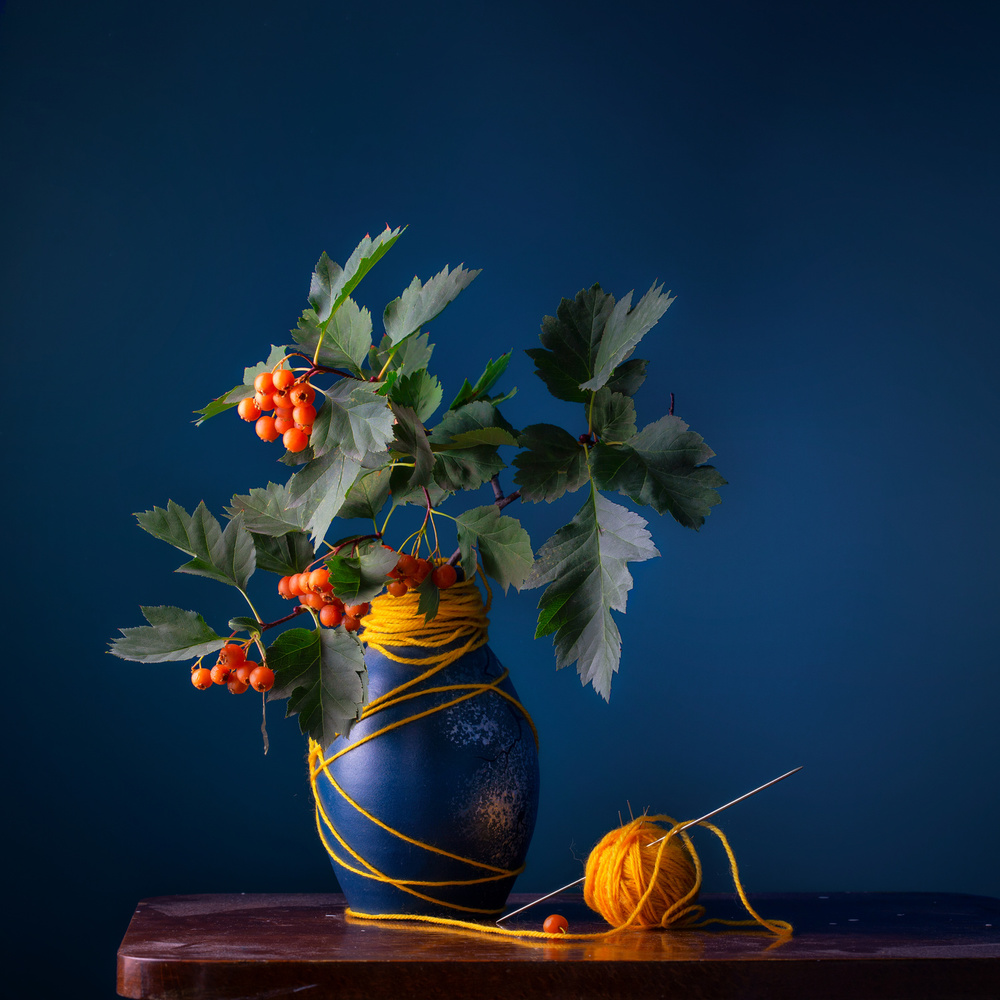 Hawthorn Berries and Yarn by Stanislav Aristov — canvas wall art