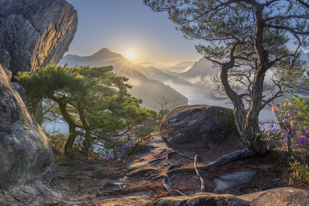 Misty Mountain Sunrise by Jaeyoun Ryu — canvas wall art