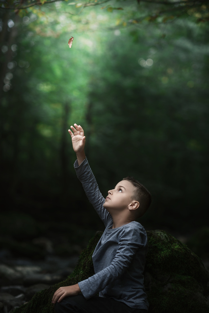 Boy Reaching For Light by Amir Bajrich — canvas wall art