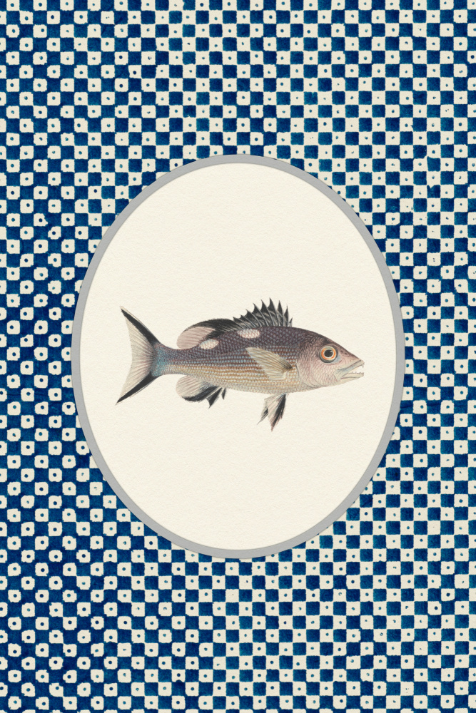 Blue Patterned Fish by Wild Violets — canvas wall art