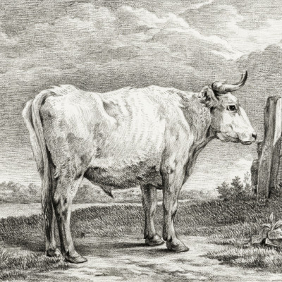 Standing Bull (1817)