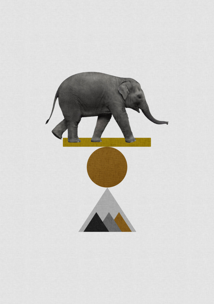 Elephant Balancing Act by Orara Studio — canvas wall art