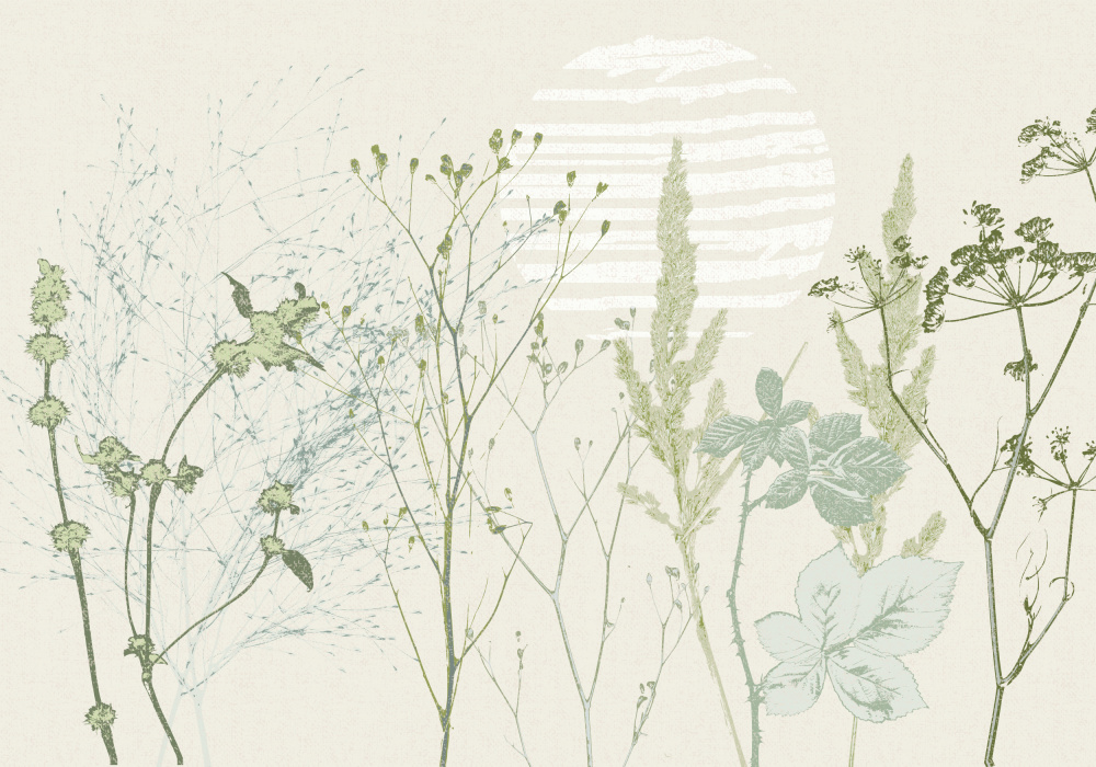 Muted Botanical Sunrise by Annick — canvas wall art