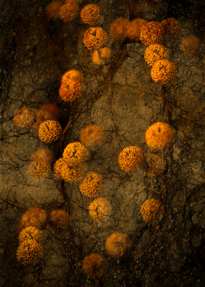 Rustic Orange Texture by Kristina Zvinakeviciute — canvas wall art