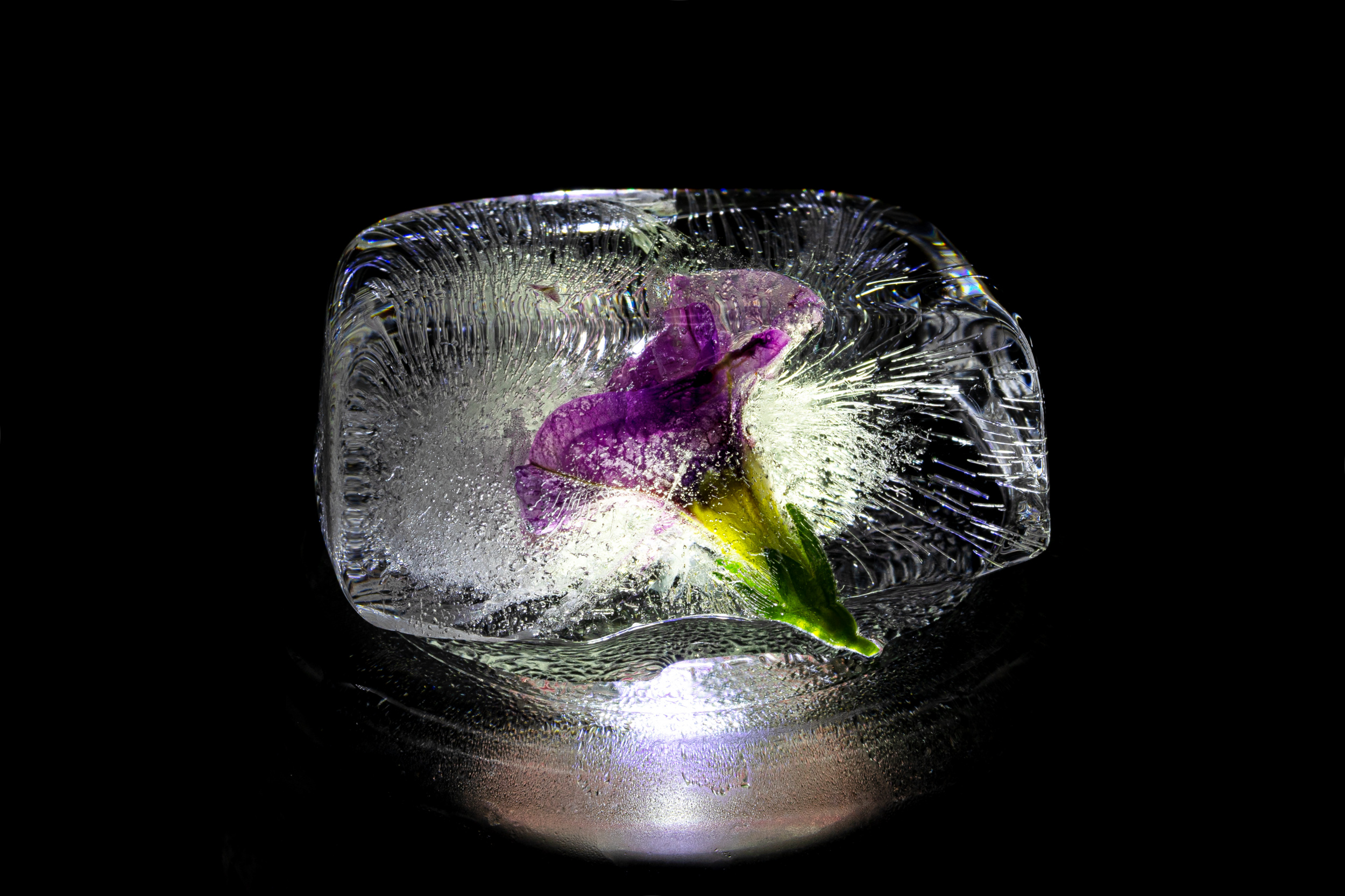 beauty from the ice by Urs Zimmermann