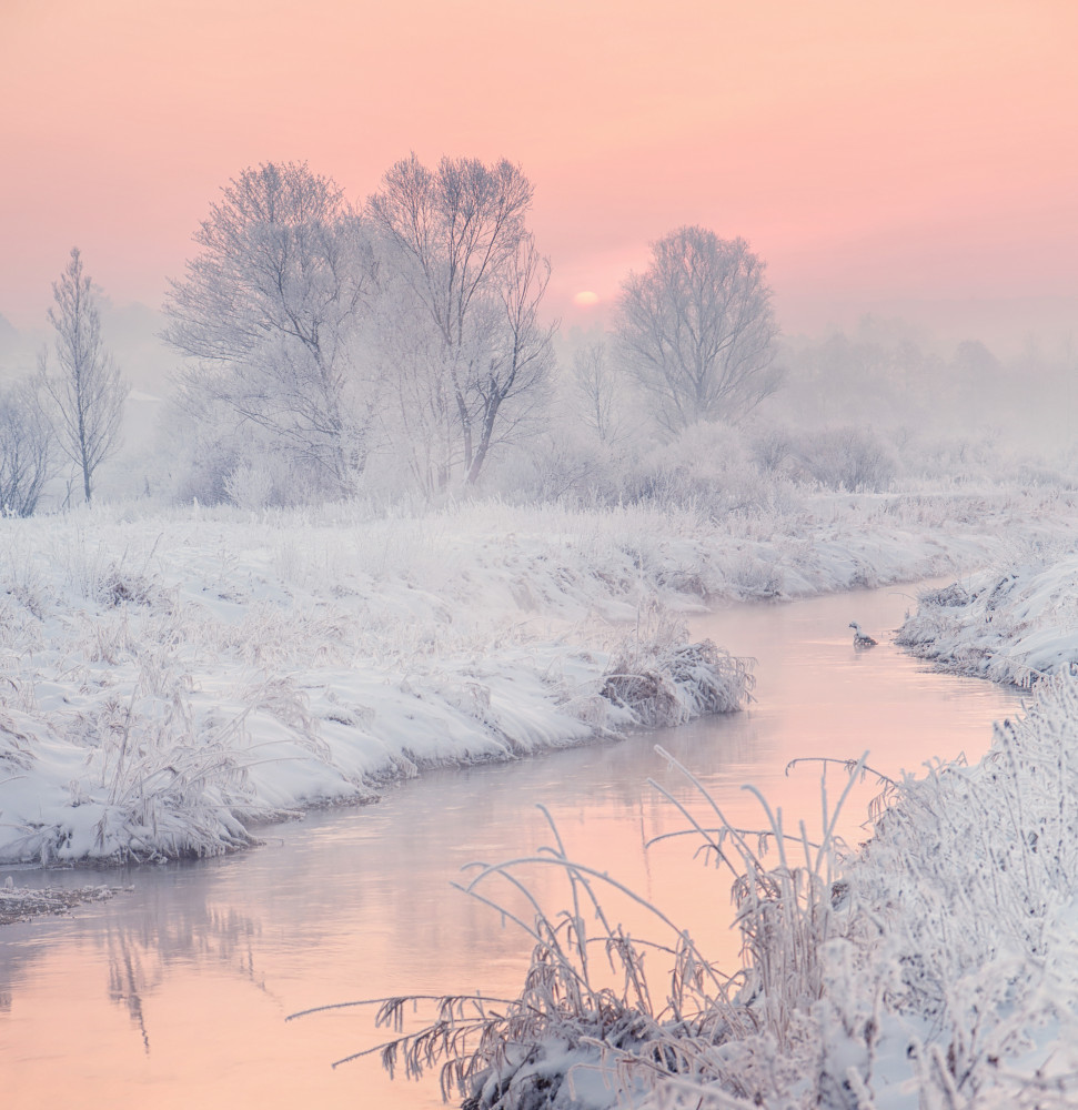 Pink Frosty River Morning by Katarzyna Gritzmann — canvas wall art