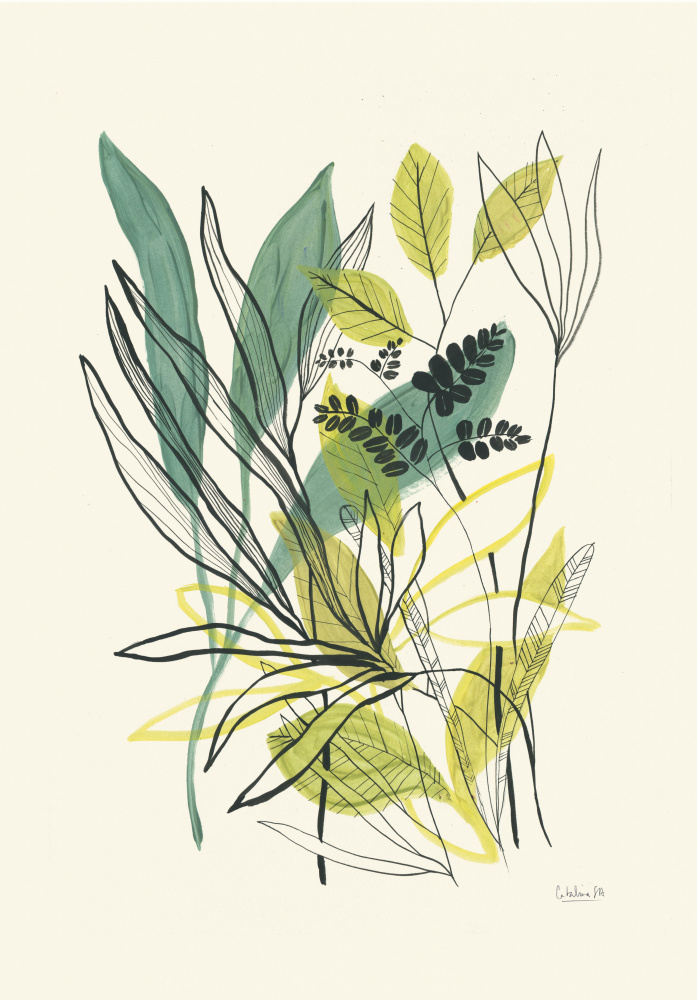 Botanical Greens and Yellows by Catalina Somolinos — canvas wall art