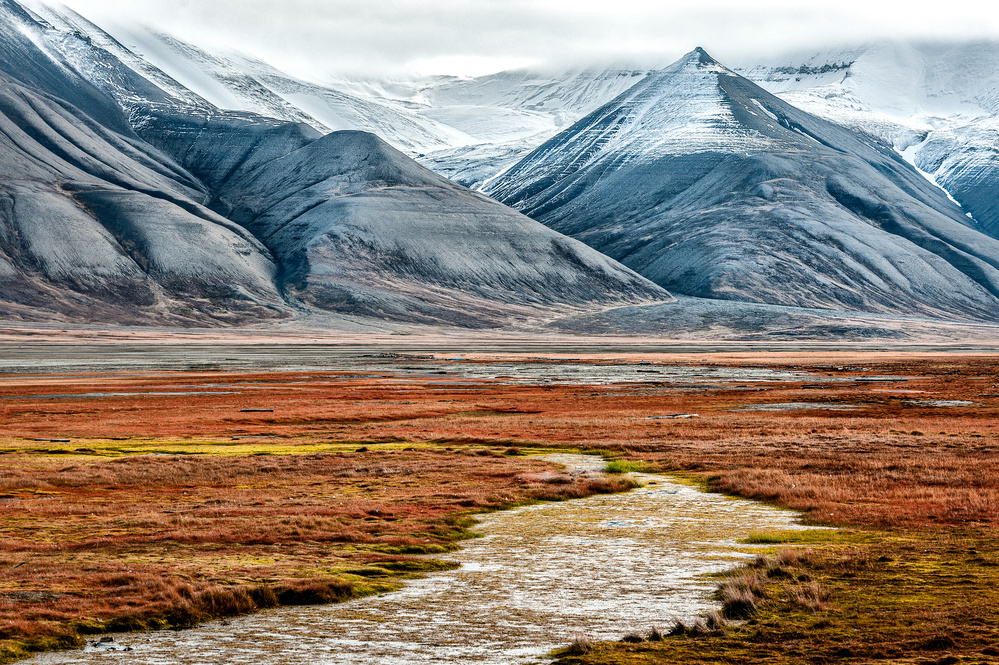 Autumn Tundra Mountain Peaks by Ann Cornelis — canvas wall art