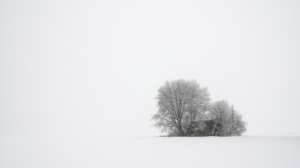 Isolated Snowy Shack by Tom Meier — canvas wall art