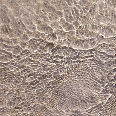 Summer Reflections 1