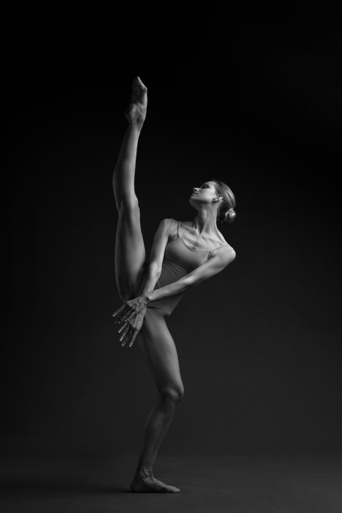 Graceful Ballet Dancer by Natalya Sleta — canvas wall art