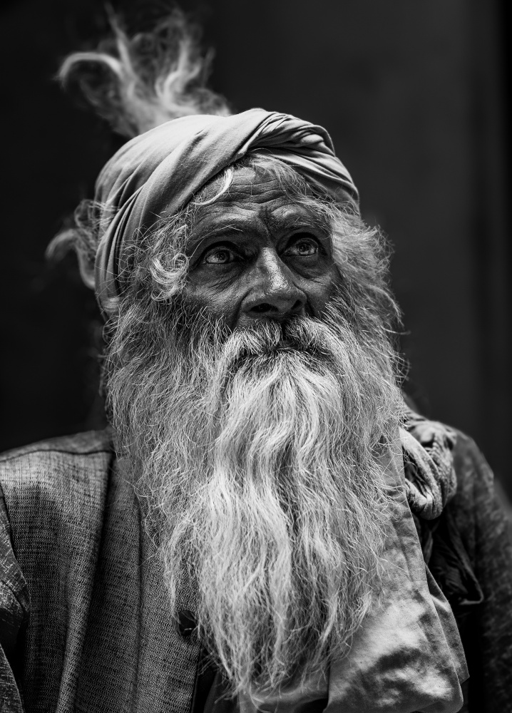 Contemplative Indian Elder by Rahul Wedpathak — canvas wall art