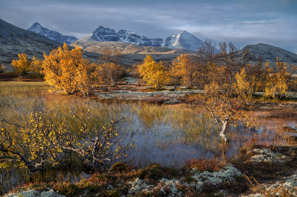 Golden Autumn Reflections by Tom Meier — canvas wall art