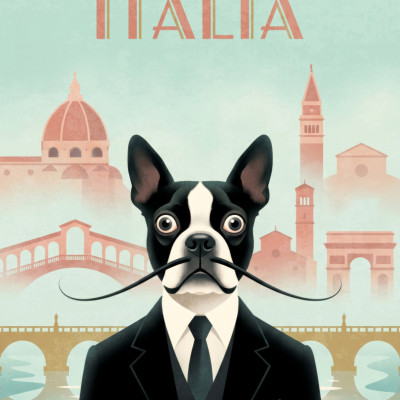 Italian Gentleman Boston Terrier