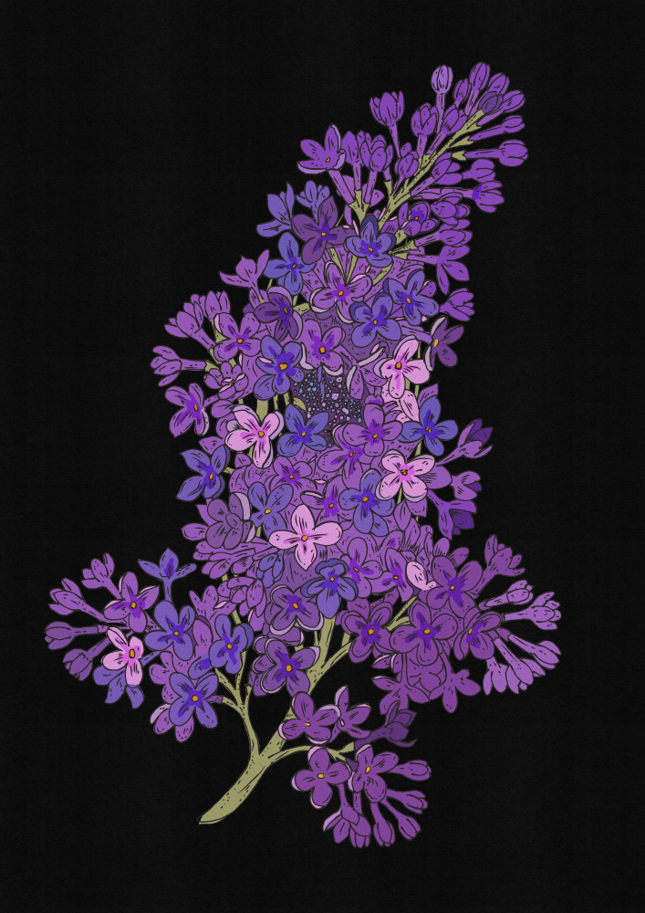 Deep Purple Lilacs by Nicholas — canvas wall art