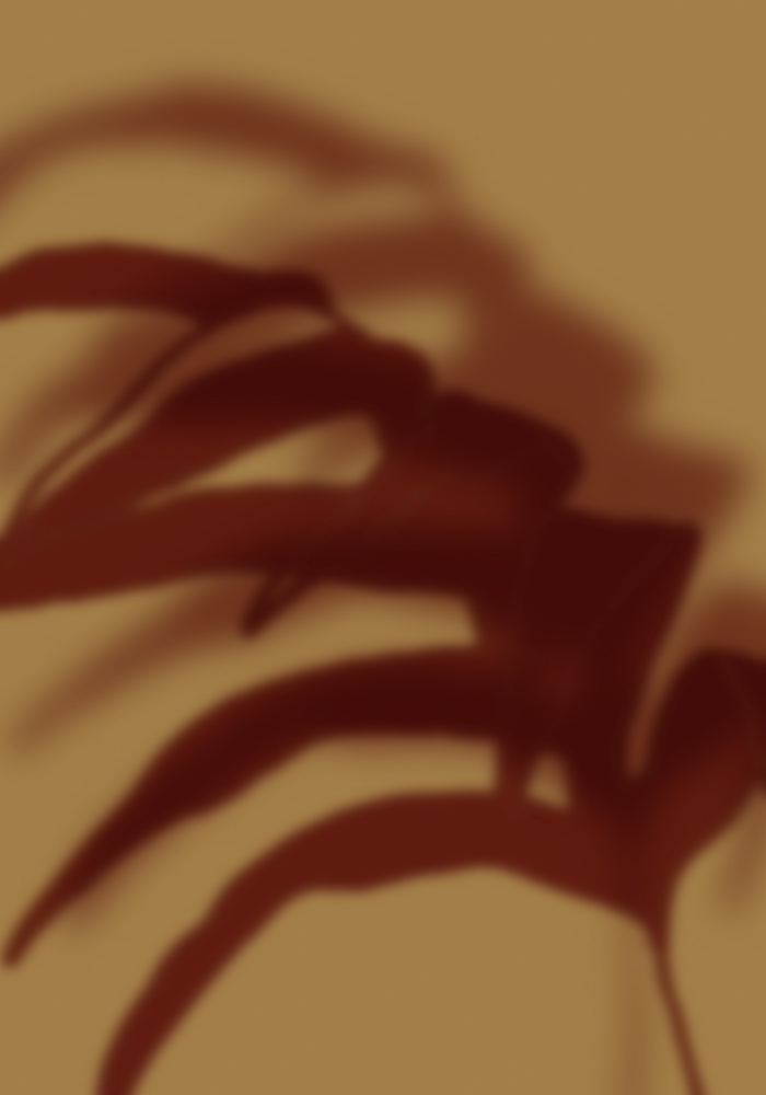 Warm Light Plant Shadow by THE MIUUS STUDIO — canvas wall art