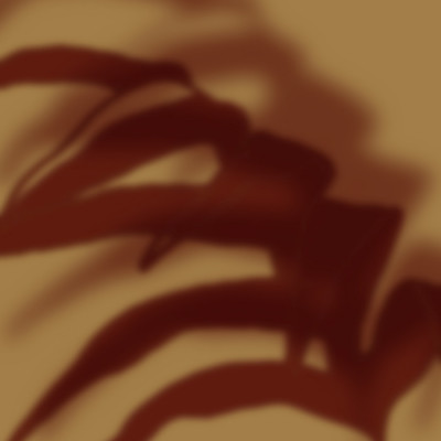 Warm Light Plant Shadow