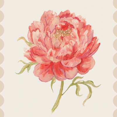 Vintage Pink Peony