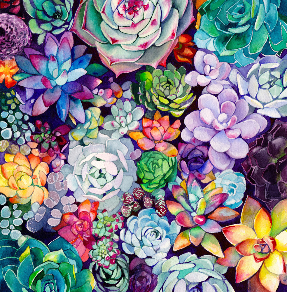 Colorful Succulent Array by Christine Lindstrom — canvas wall art