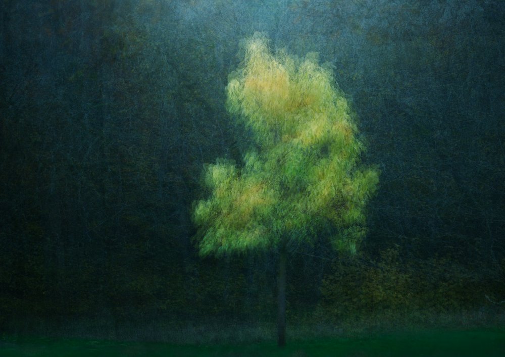 Tranquil Abstract Tree by Katarina Holmström — canvas wall art