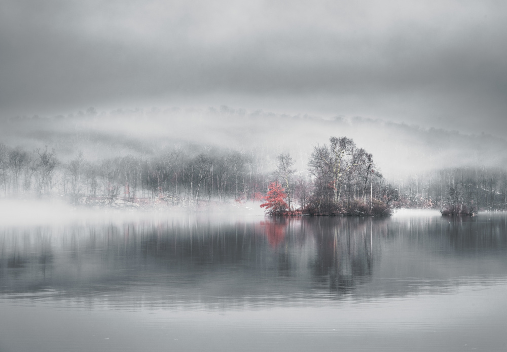 Red Tree Winter Lake by Wei (David) Dai — canvas wall art