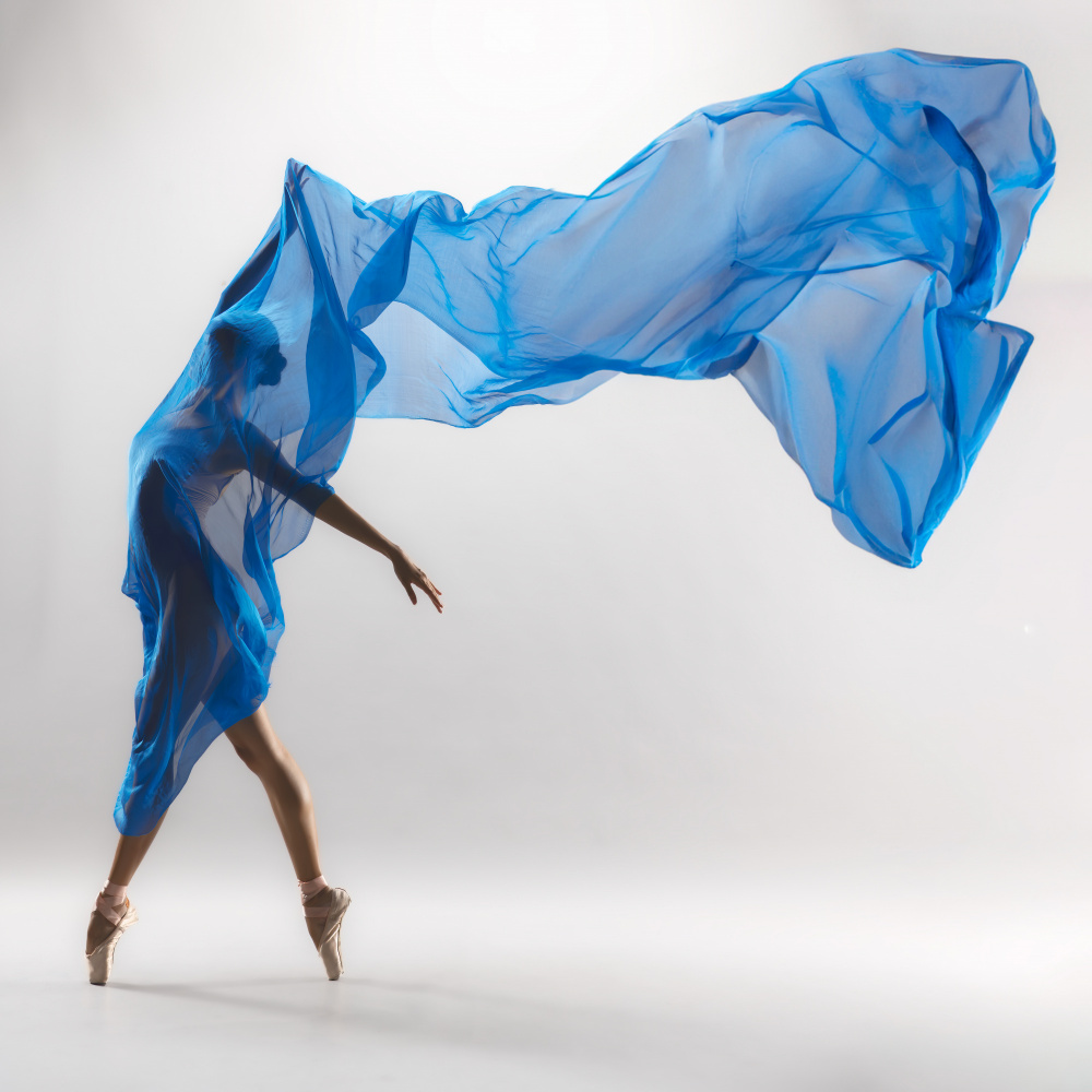 Graceful Blue Ballet by Lisdiyanto Suhardjo — canvas wall art