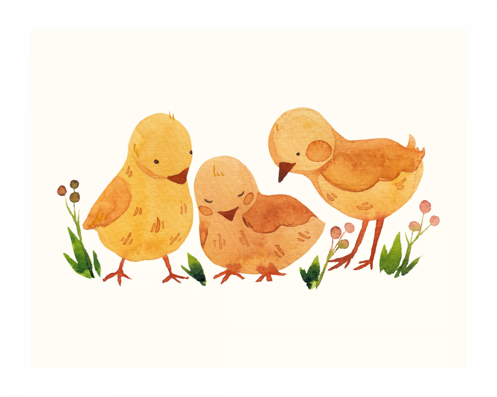 Cute Baby Chicks by Saskia Michele — canvas wall art