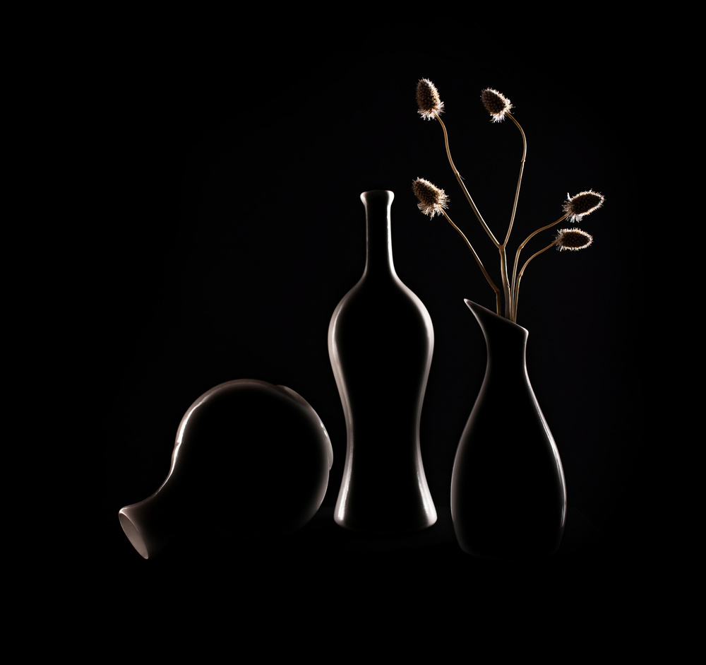 Elegant Still Life Silhouettes by Margareth Perfoncio — canvas wall art