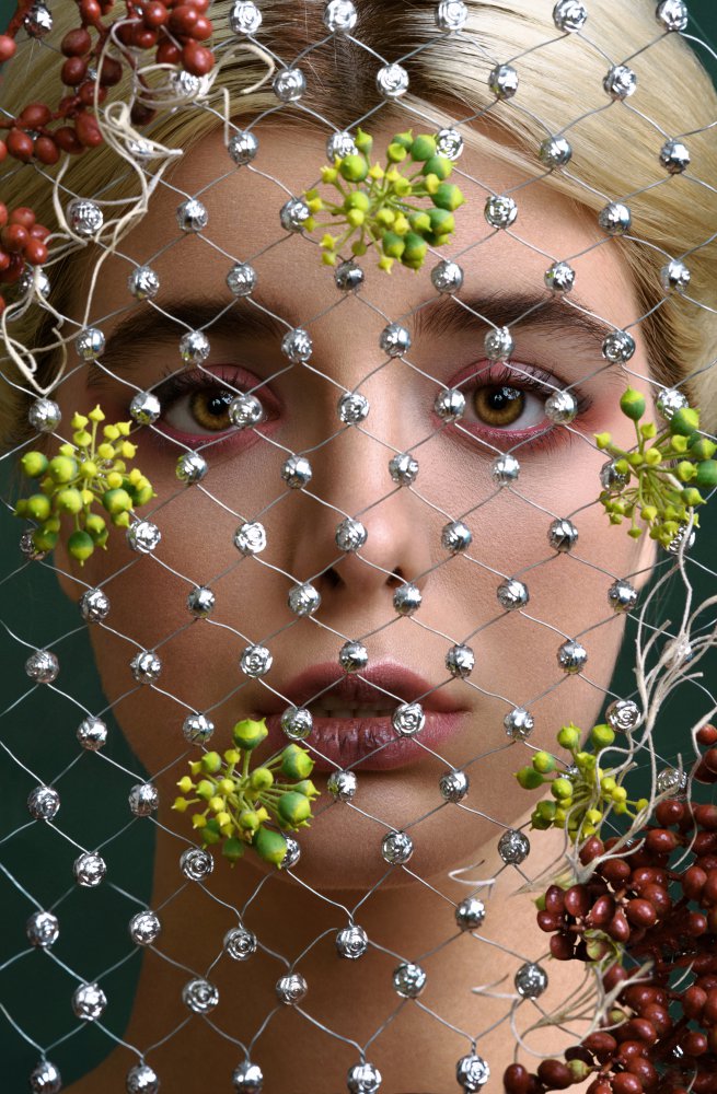 Sparkling Veil and Berries by Peyman Naderi — canvas wall art