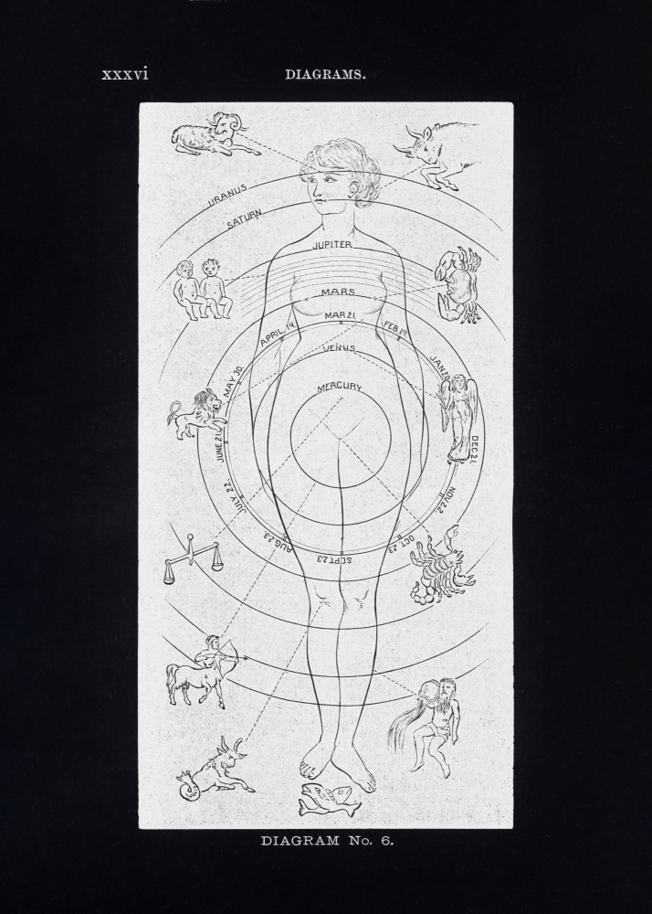 Solar Biology No. 6 Black (Creative ed) by Hiram Eratus Butler — canvas wall art