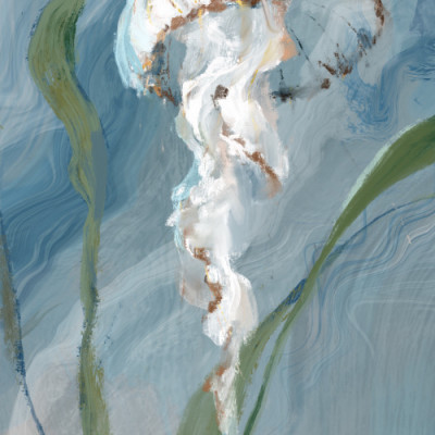 Jelly Fish Julia Cheney (1)