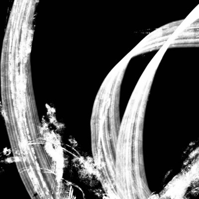 Organic White Shapes