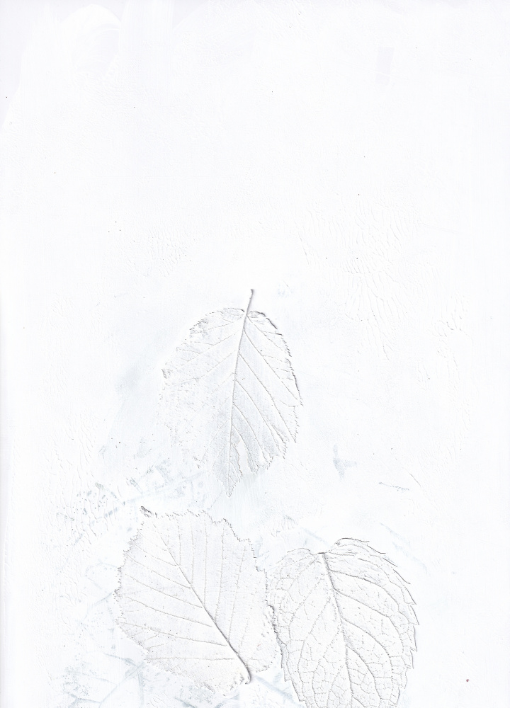Ethereal White Leaves by Maira Ribena — canvas wall art