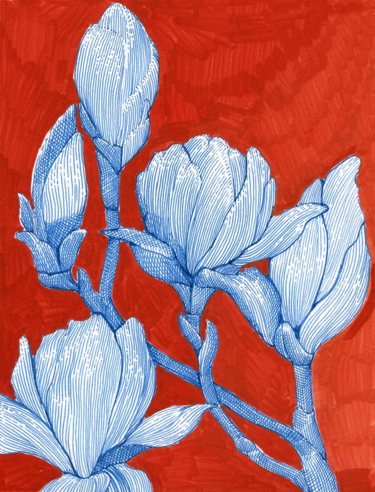 Bold Blue Magnolias by Katie O'Shea — canvas wall art