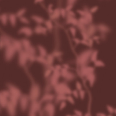 Soft Botanical Shadows