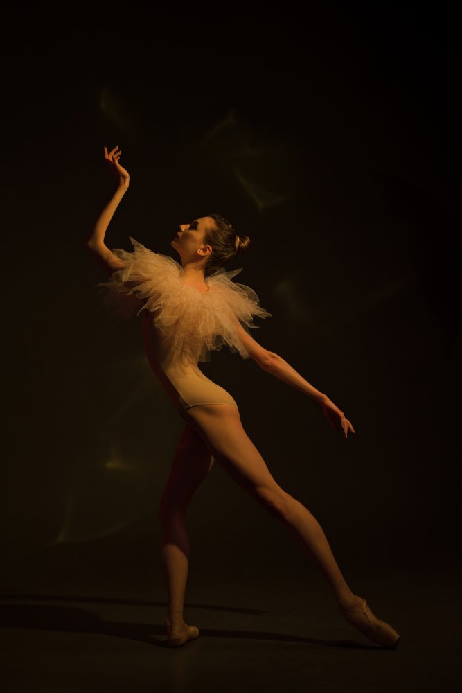 Ballerina in Spotlight by Natalya Sleta — canvas wall art