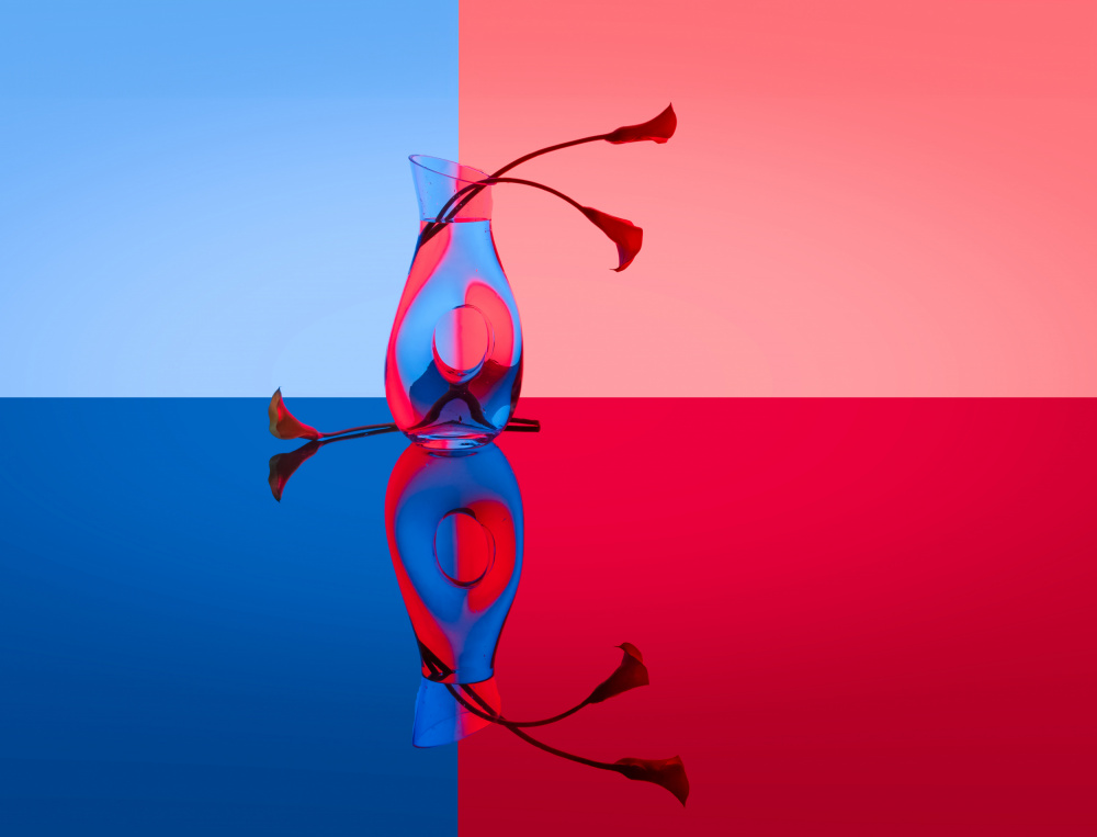 Red Blue Glass Vase by DonnaHom APA — canvas wall art
