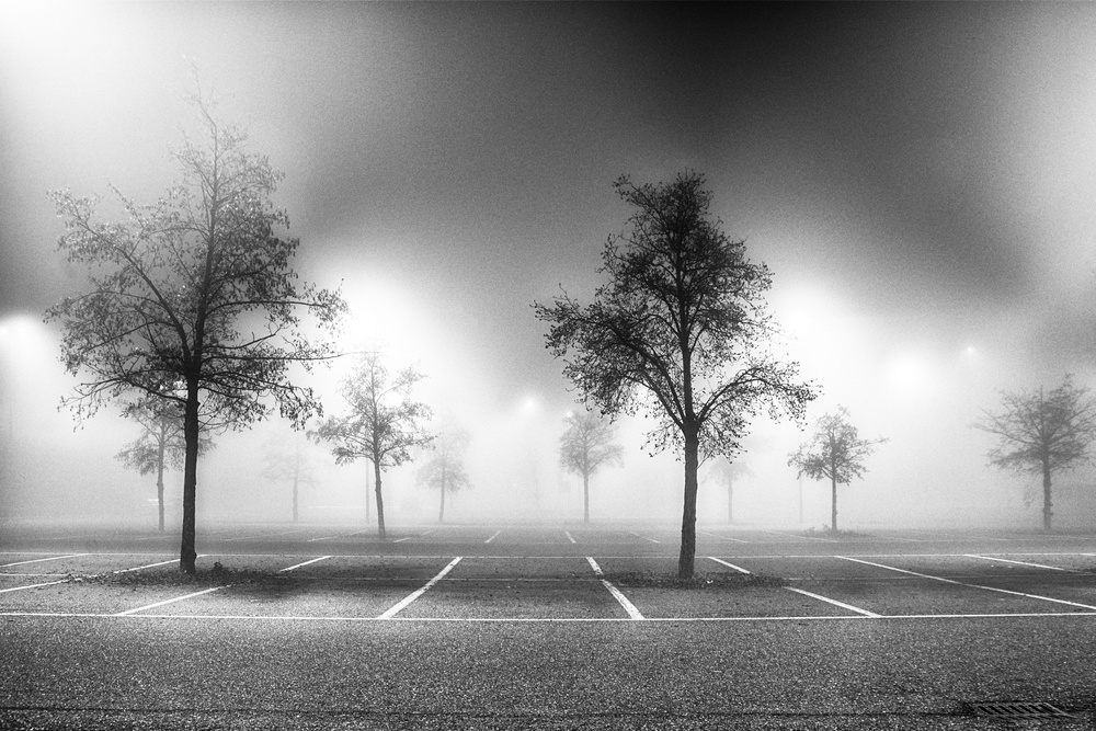 Misty Parking Night by Stefano Scappazzoni — canvas wall art