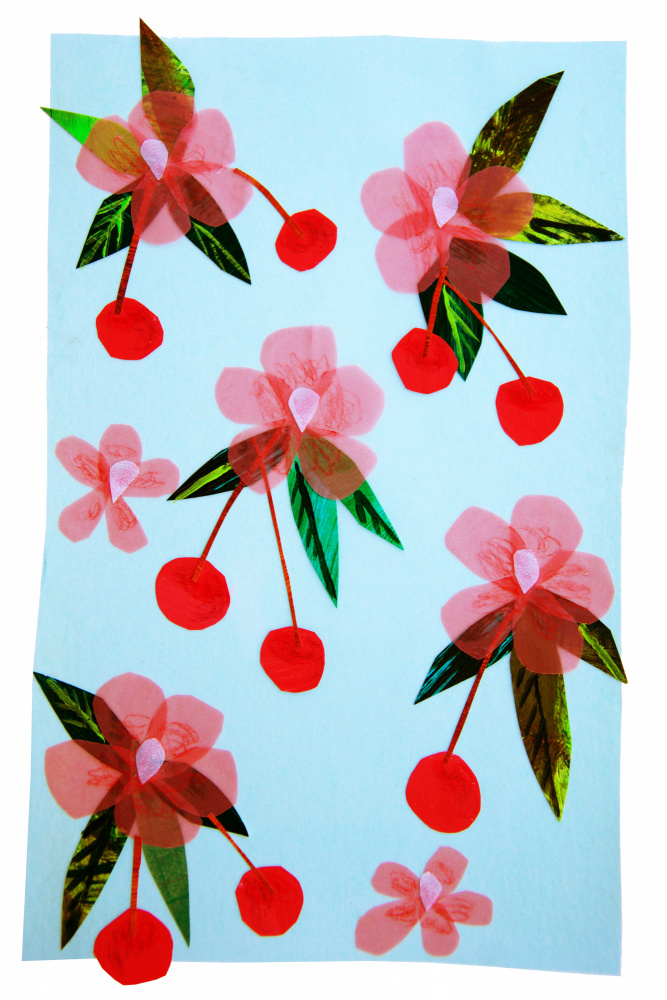 Pink Cherry Blossoms by Shelley Hampe — canvas wall art