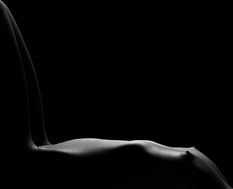 Elegant Female Form by Fulvio Pellegrini — canvas wall art