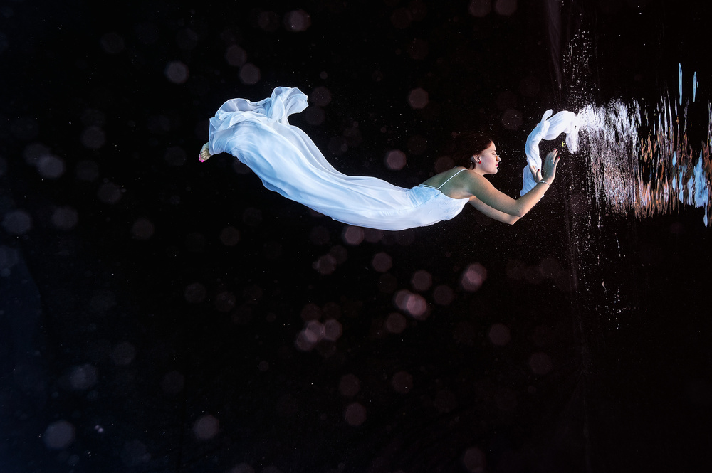 Ethereal Underwater Grace by Petr Kleiner — canvas wall art